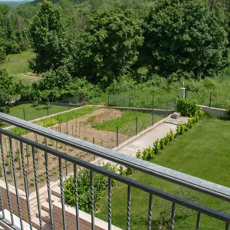 Deluxe Golubica W/ Swimming Pool