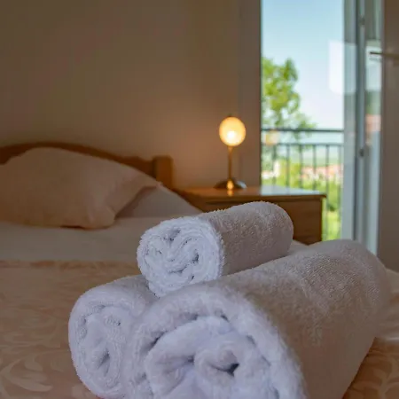 Deluxe Golubica W/ Swimming Pool Holiday home