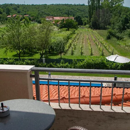 Deluxe Golubica W/ Swimming Pool *